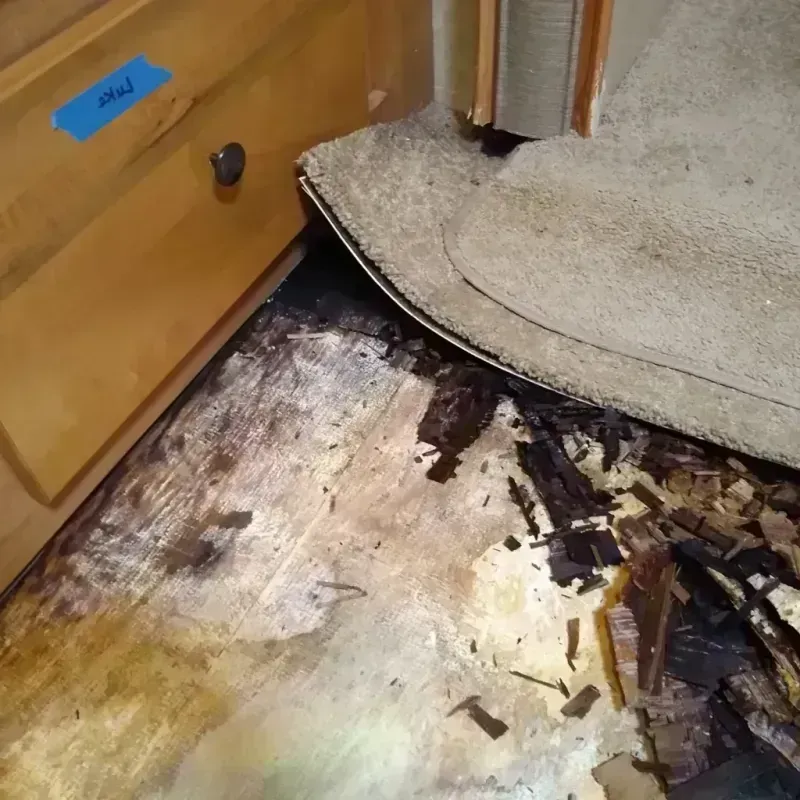 Wood Floor Water Damage in Mineral Point, WI